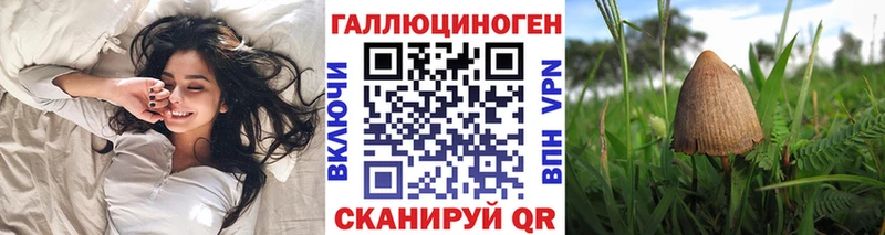 гидра   как найти закладки  Королёв  Галлюциногенные грибы Psilocybe 