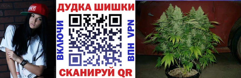 Бошки марихуана OG Kush  хочу   Королёв 